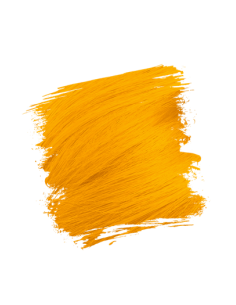 Crazy Color 76 Anarchy 2