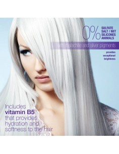 valquer Champú Silver... 2