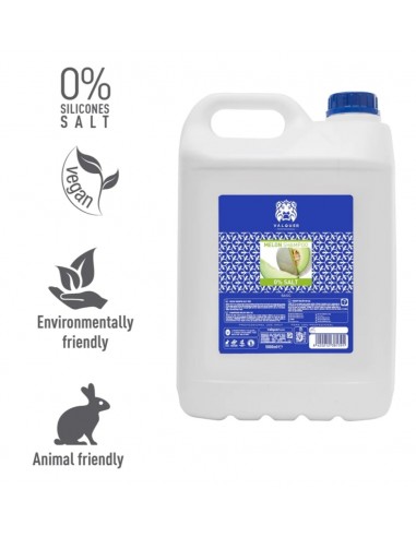 Valquer Champú Melón Sin Sal 5000ml.